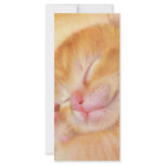 Sweet Dreams rack cards