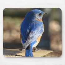 Sweet Eastern Bluebird Mousepad