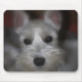 Sweet Face Mouse Pads