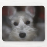 Sweet Face mousepads