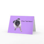Sweet Faced Pug Greeting Cards