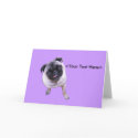 Sweet Faced Pug cards