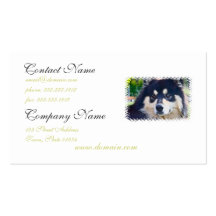 Sweet Finnish Lapphund Business Cards