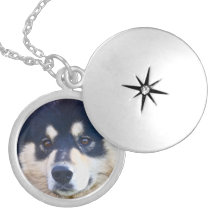 Sweet Finnish Lapphund Locket