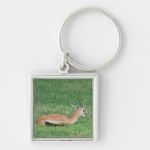 Sweet Gazelle Keychain