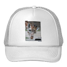 Sweet Giraffe Baseball Hat
