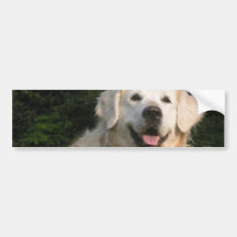 Sweet Golden Retriever Bumper Sticker