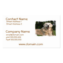 Sweet Golden Retriever Business Cards