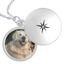 Sweet Golden Retriever Locket
