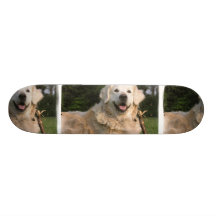 Sweet Golden Retriever Skateboard