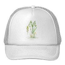Sweet Grass Botanical Mesh Hat