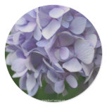 Sweet Hydrangea Flower Photo Sticker Label