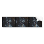 Sweet kitty Graffiti Bumper Sticker