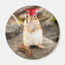 Sweet Little Chipmunk Graduate Magnet