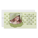 Sweet Little Pea Baby Boy Birth Annoucement photo cards