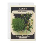 Sweet Marjoram Herbs Seed Packet invitations