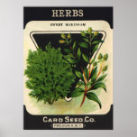 Sweet Marjoram Herbs Seed Packet posters