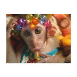 Sweet Meiki postcards