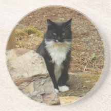 Sweet Momma Feral Cat Drink Coasters