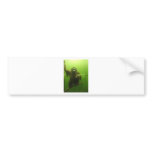 Sweet Monkey bumper stickers
