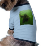 Sweet Monkey pet clothing