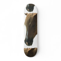 Sweet Mustang Horse Binder Skate Boards