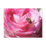 Sweet Nectar after a Light Rain Shower, Flower Bee postcards