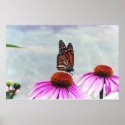 Sweet Nectar - print