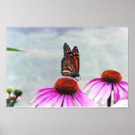 Sweet Nectar - print