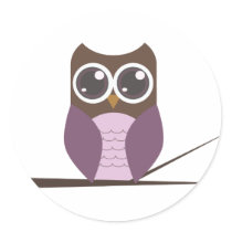 Sweet Owl on Branch