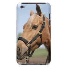 Sweet Palomino iTouch Case iPod Touch Case-Mate Case