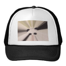 Sweet Panda Mesh Hats