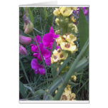 Sweet Pea and Mullein Flower Card