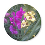 Sweet Pea and Mullein Flower Refrigerator Magnet
