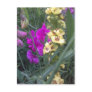 Sweet Pea and Mullein Flower Post Cards