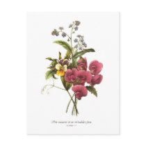 Sweet Pea and Viola Post Cards