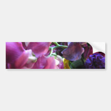 Sweet Pea Bumper Sticker