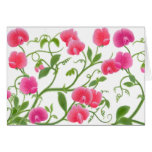 Sweet Pea Flower Vines Card
