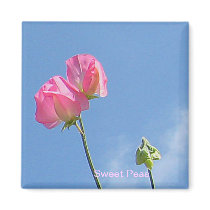 Sweet Peas Collector Magnet