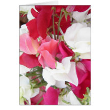 Sweet Peas Greeting Cards