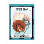 Sweet Peas Spencer Mixed Seed Packet Burt's Seeds t-shirts