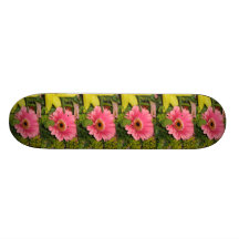 Sweet Pink Skate Board!