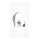 Sweet Potato People photo cards