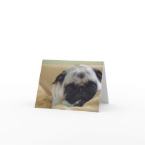 Sweet Pug Card