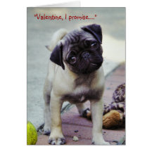 Sweet Pug Puppy Valentine #1 Greeting Card