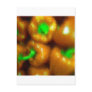 Sweet Red Peppers Postcard