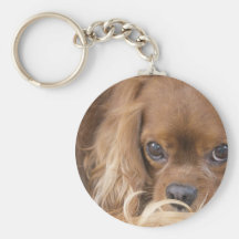 Sweet Ruby Cavalier King Charles Spaniel Key Chains