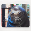 Sweet Sea Lion mousepads