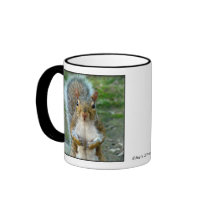Sweet Squirrel Face Mugs