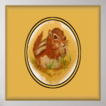 Sweet Squirrel